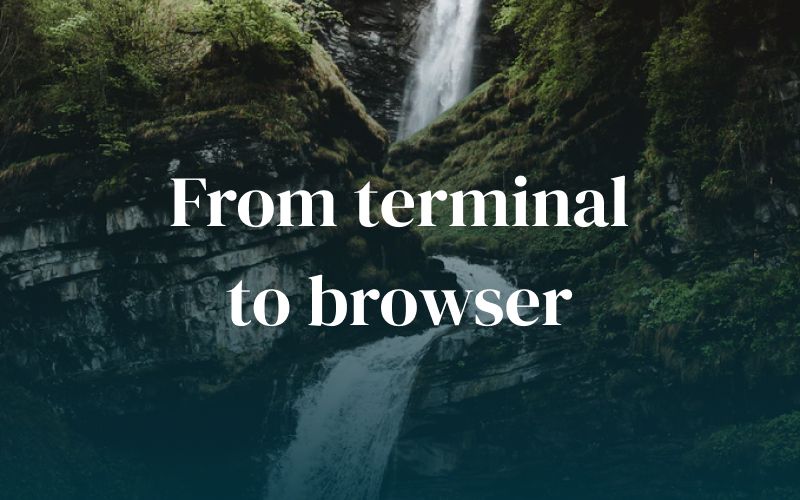 Nuxt: From Terminal to Browser